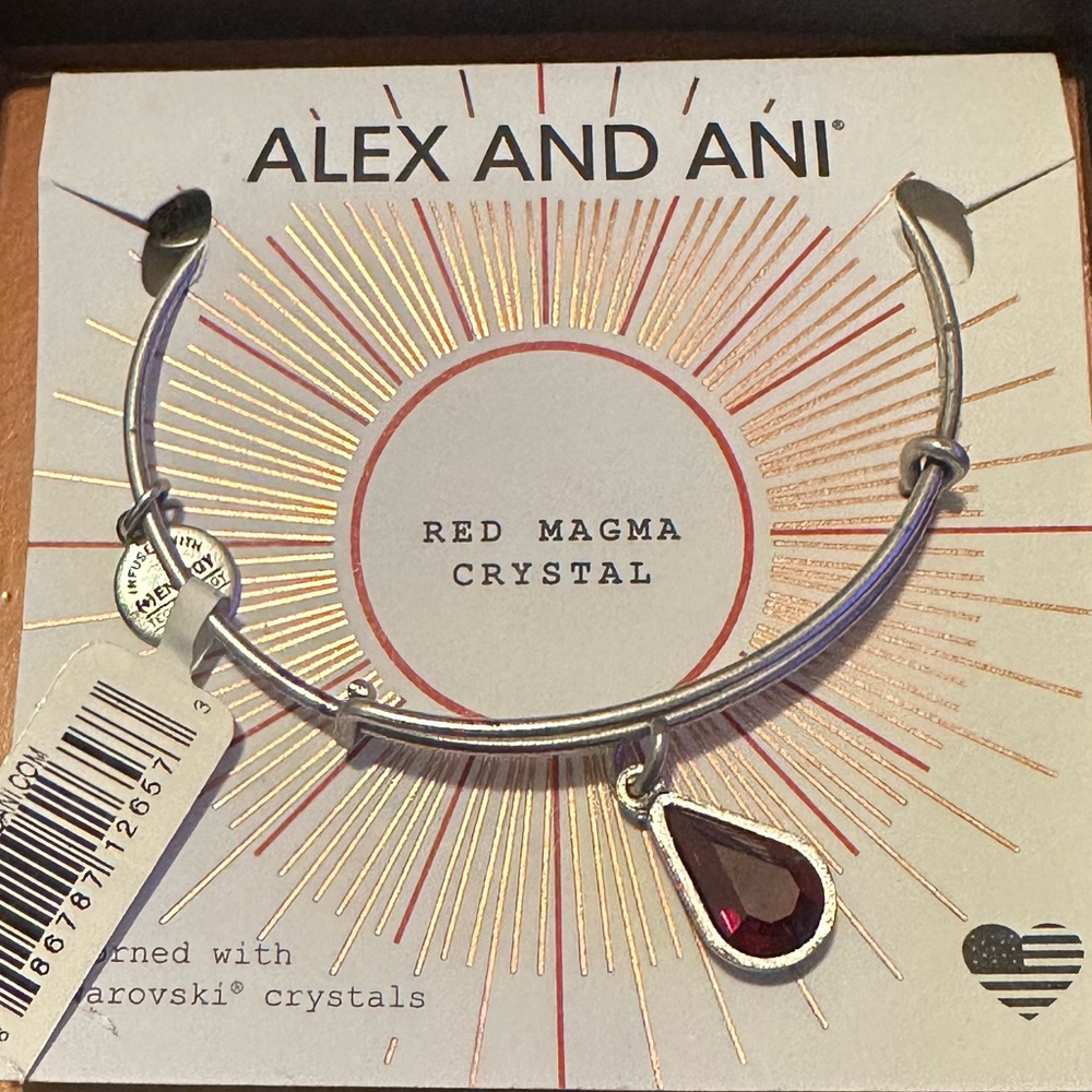 Alex & Ani January birthstone Bracelet